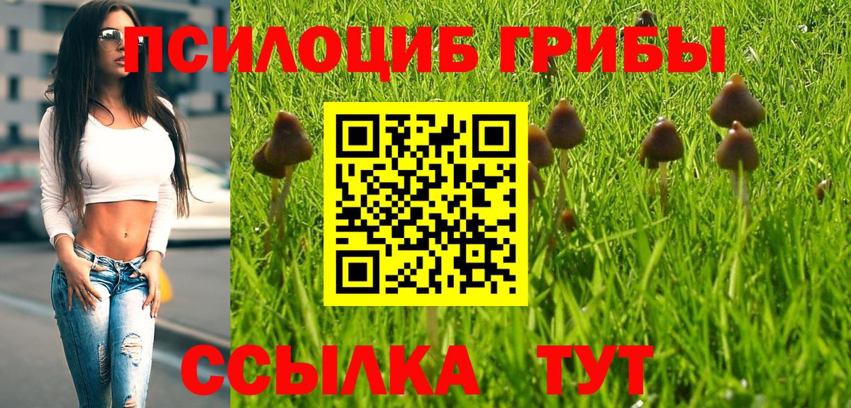 Псилоцибиновые грибы Psilocybe  Галлюциногенные грибы Magic Shrooms  Вход с VPN  Джанкой 